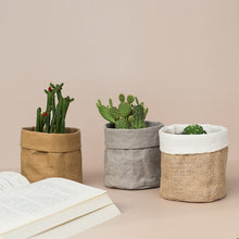 Load image into Gallery viewer, Desktop planters with succulents
