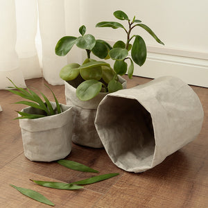 Desktop Planters