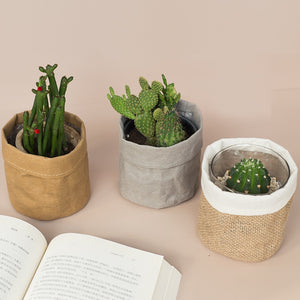 Desktop Planters