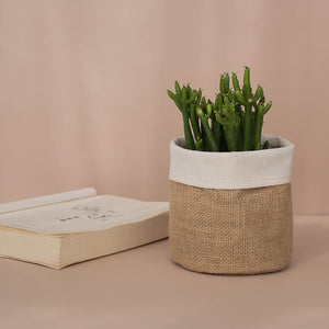 Desktop Planters